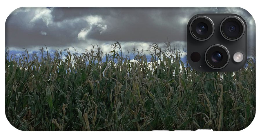 Illinois Corn - Phone Case