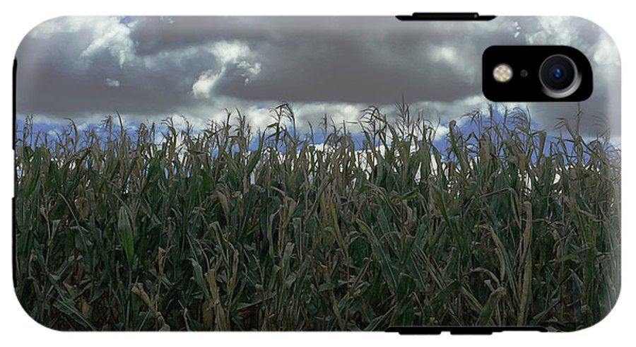 Illinois Corn - Phone Case
