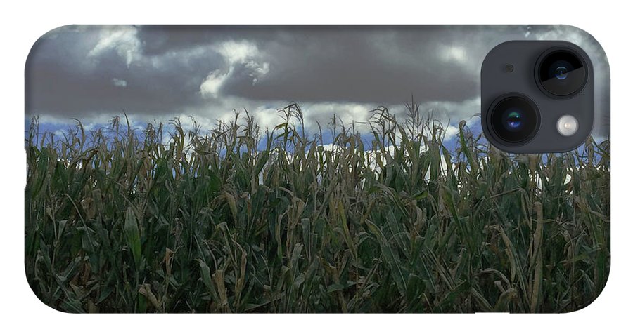 Illinois Corn - Phone Case