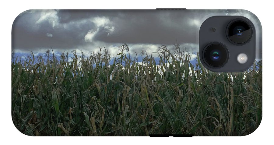 Illinois Corn - Phone Case