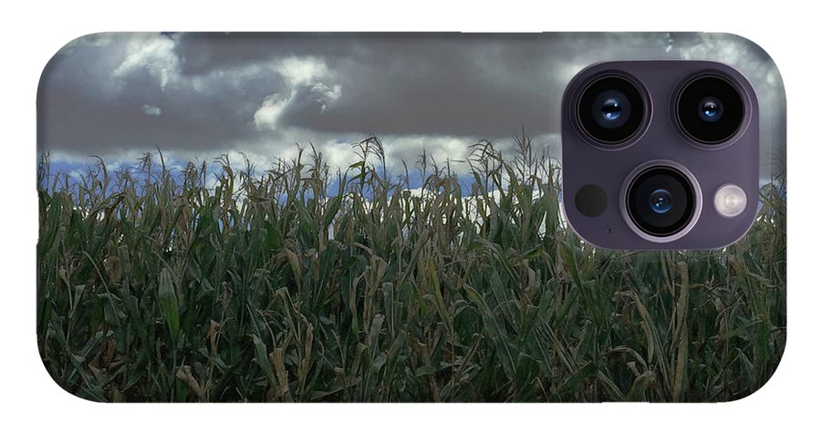 Illinois Corn - Phone Case