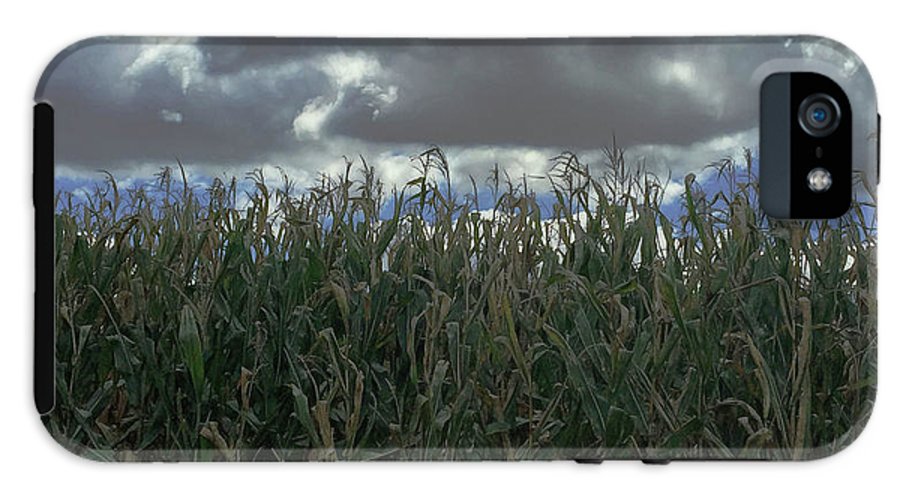 Illinois Corn - Phone Case