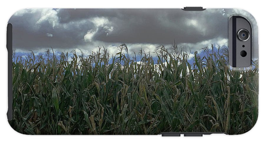 Illinois Corn - Phone Case