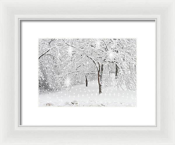 Incandescent and Florescent Winter - Framed Print