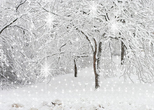 Incandescent and Florescent Winter - Puzzle