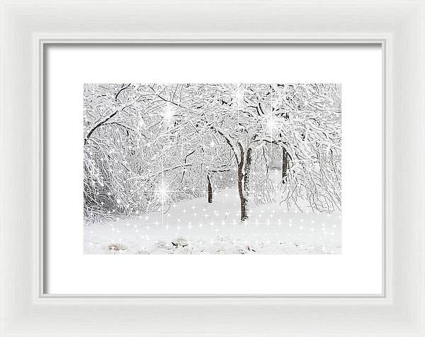 Incandescent and Florescent Winter - Framed Print