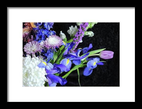 Iris Bouquet - Framed Print