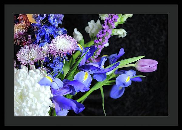 Iris Bouquet - Framed Print