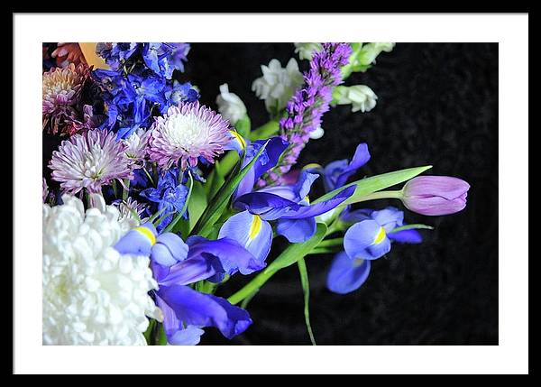 Iris Bouquet - Framed Print