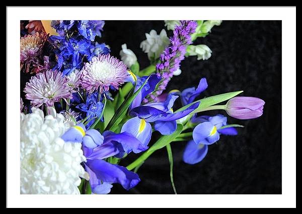 Iris Bouquet - Framed Print
