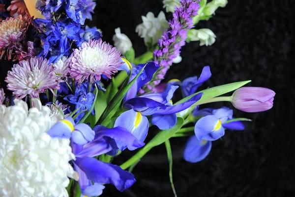 Iris Bouquet - Art Print