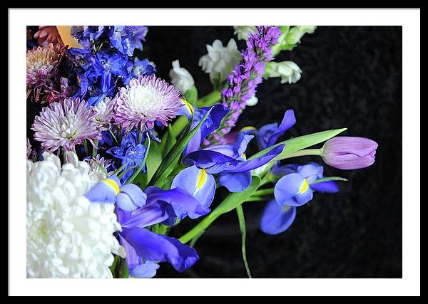 Iris Bouquet - Framed Print