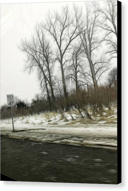 January Roadside - Canvas Print