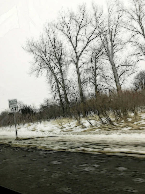 January Roadside - Art Print