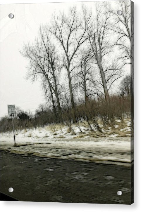 January Roadside - Acrylic Print