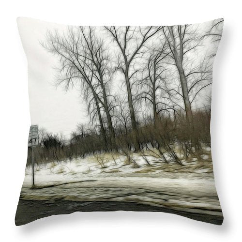 January Roadside - Throw Pillow