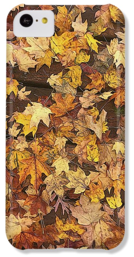 Late October Leaves 3 - Phone Case