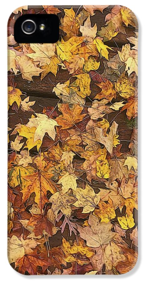Late October Leaves 3 - Phone Case