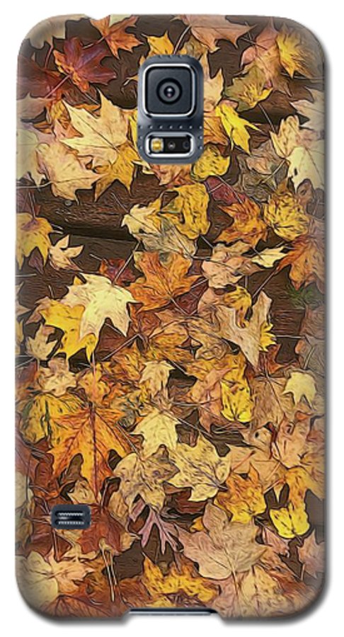 Late October Leaves 3 - Phone Case