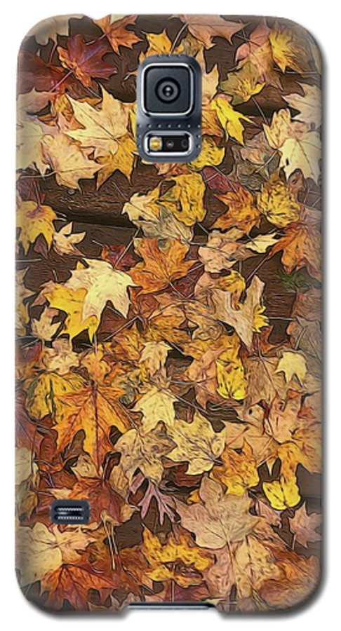 Late October Leaves 3 - Phone Case