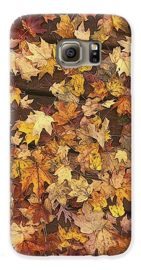Late October Leaves 3 - Phone Case