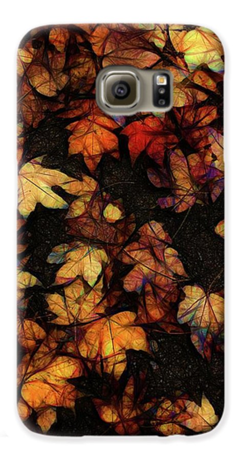 Late October Leaves 4 - Phone Case