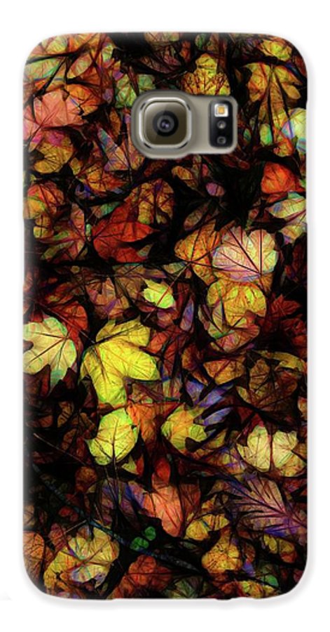 Late October Leaves - Phone Case