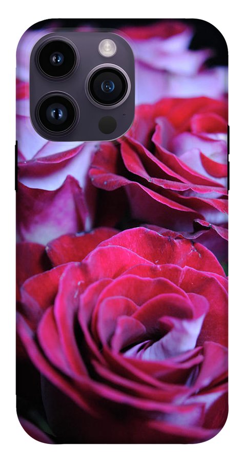 Latin Dancer Rose Group - Phone Case