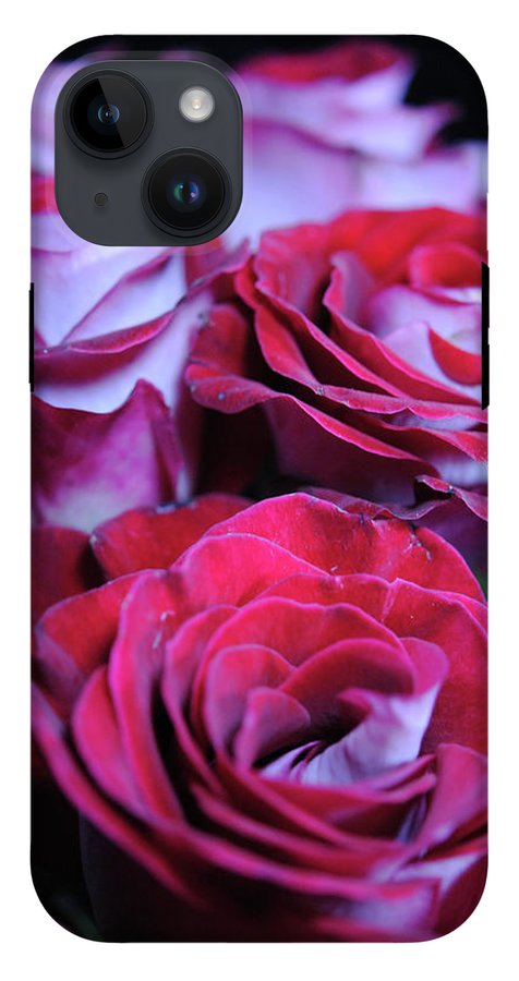 Latin Dancer Rose Group - Phone Case
