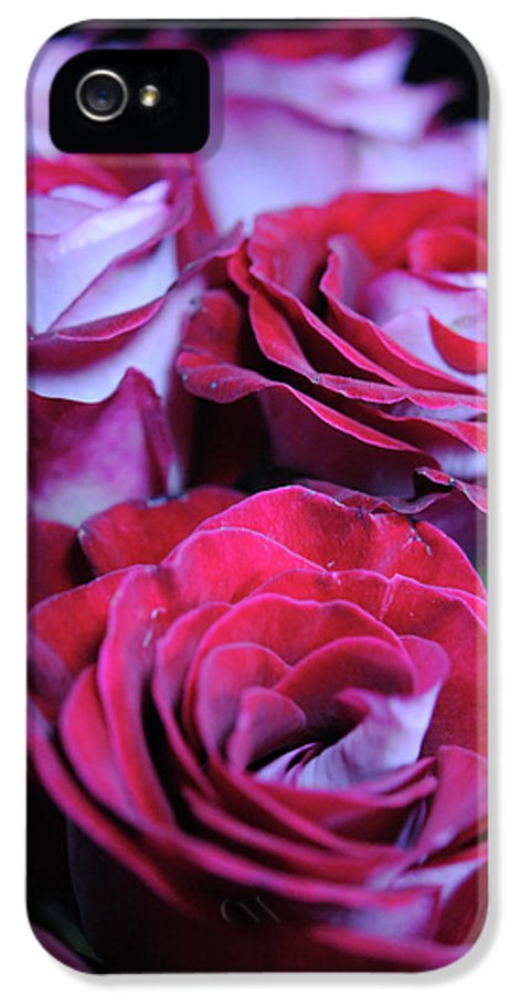 Latin Dancer Rose Group - Phone Case