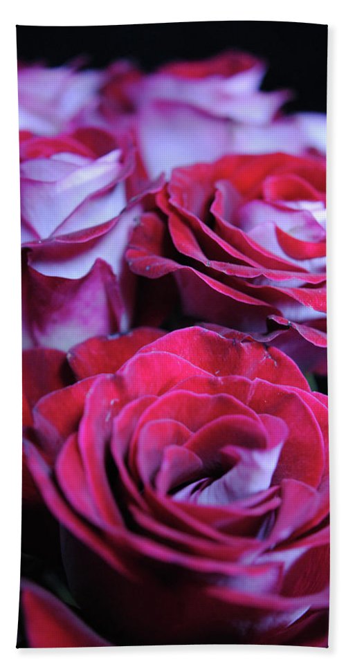 Latin Dancer Rose Group - Bath Towel