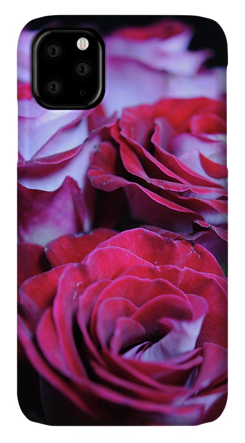 Latin Dancer Rose Group - Phone Case