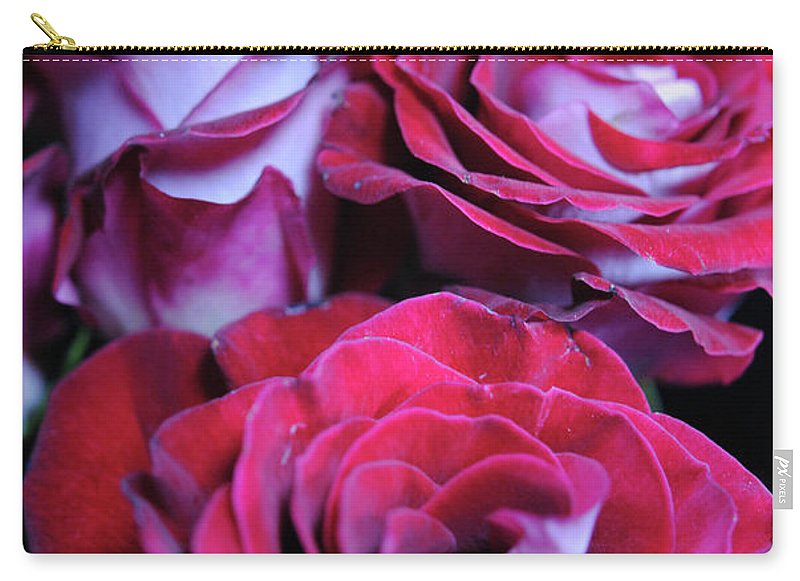 Latin Dancer Rose Group - Carry-All Pouch