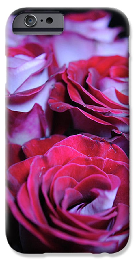 Latin Dancer Rose Group - Phone Case
