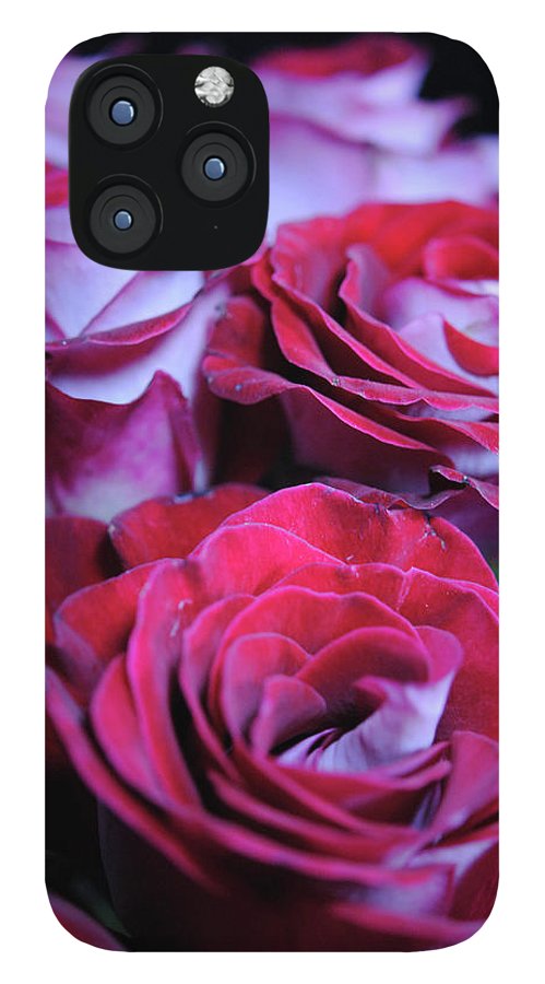 Latin Dancer Rose Group - Phone Case