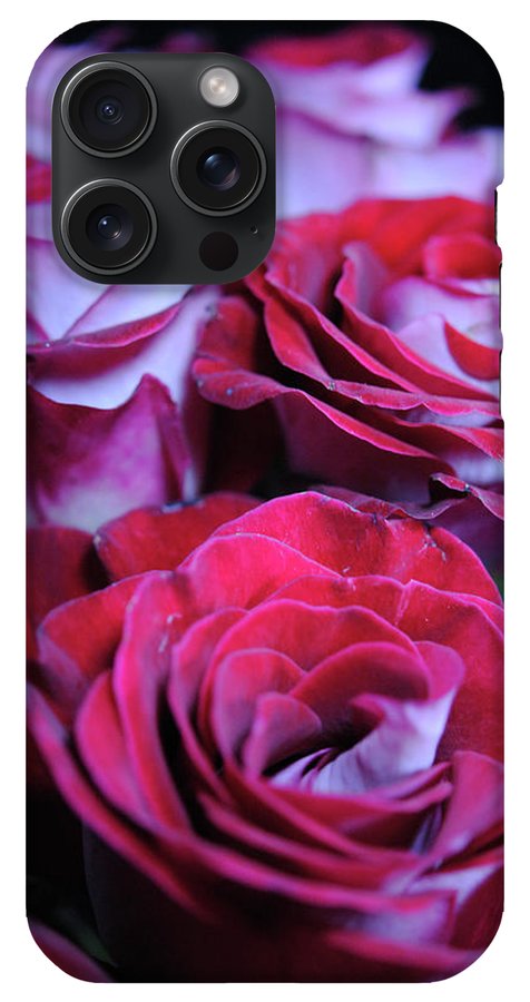 Latin Dancer Rose Group - Phone Case