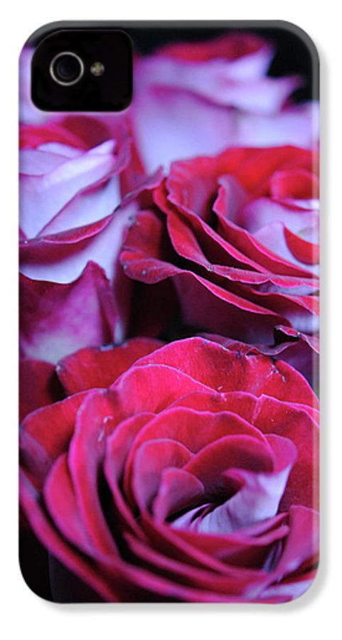 Latin Dancer Rose Group - Phone Case