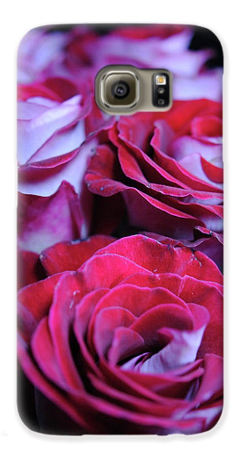 Latin Dancer Rose Group - Phone Case
