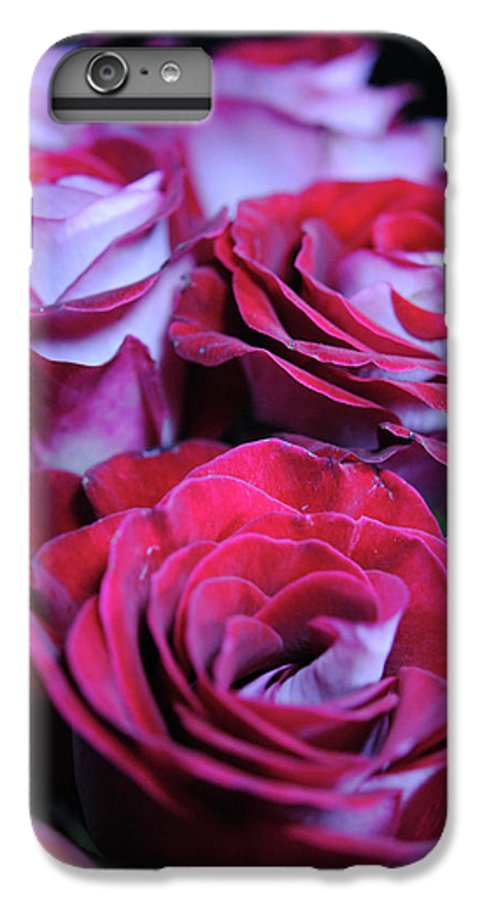 Latin Dancer Rose Group - Phone Case