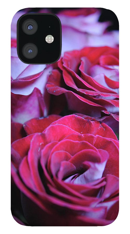 Latin Dancer Rose Group - Phone Case