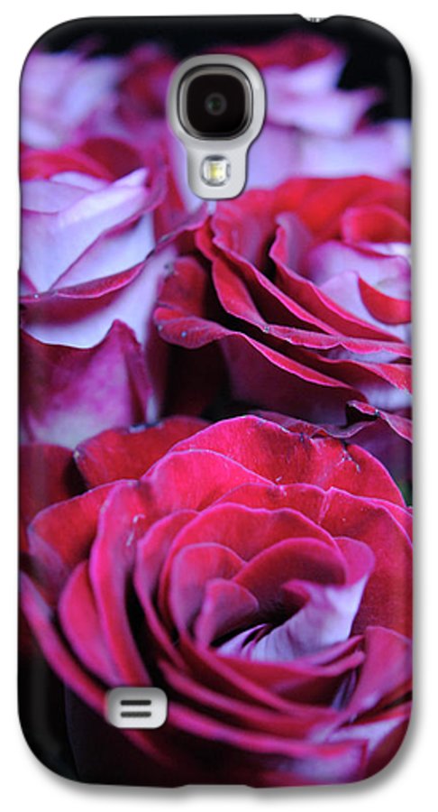 Latin Dancer Rose Group - Phone Case