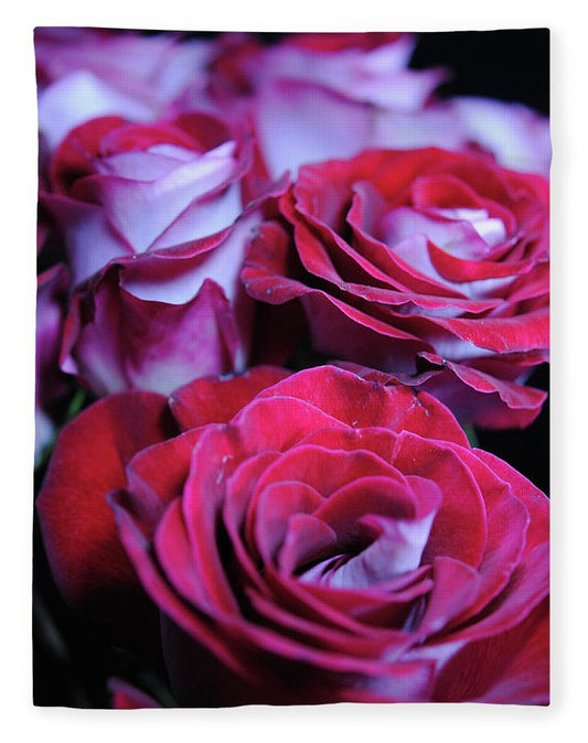 Latin Dancer Rose Group - Blanket