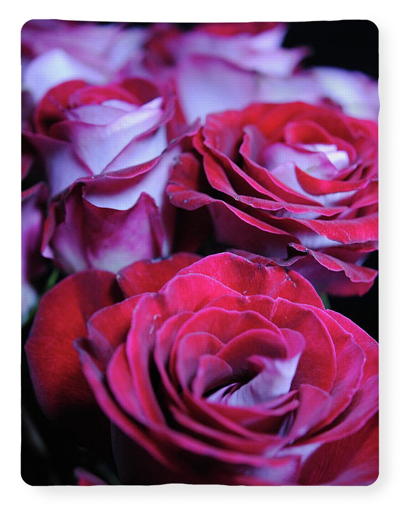 Latin Dancer Rose Group - Blanket