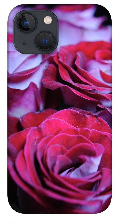 Latin Dancer Rose Group - Phone Case
