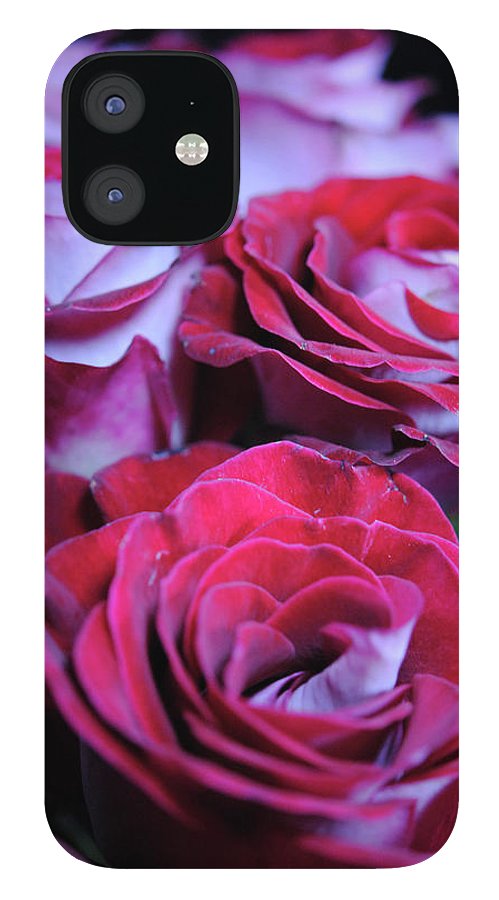 Latin Dancer Rose Group - Phone Case