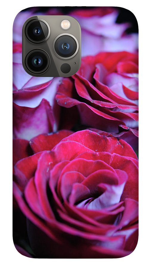 Latin Dancer Rose Group - Phone Case