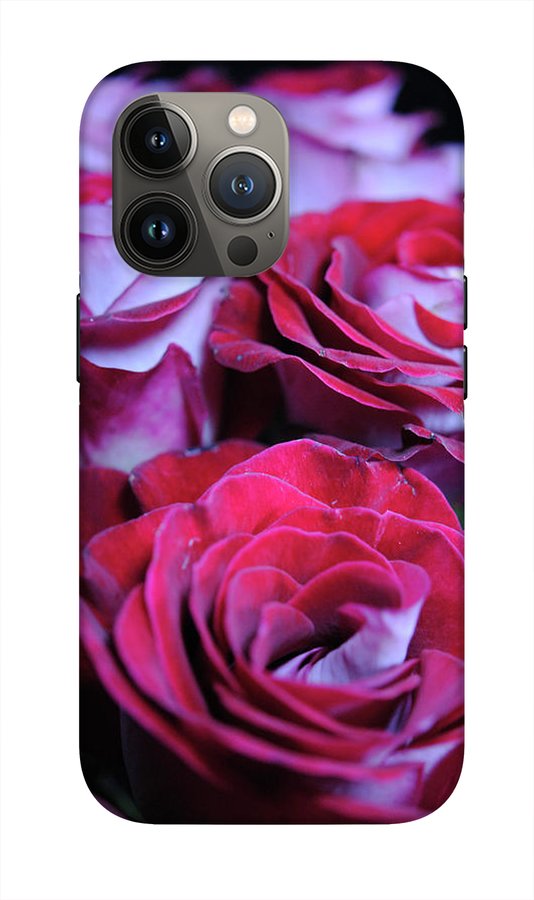 Latin Dancer Rose Group - Phone Case