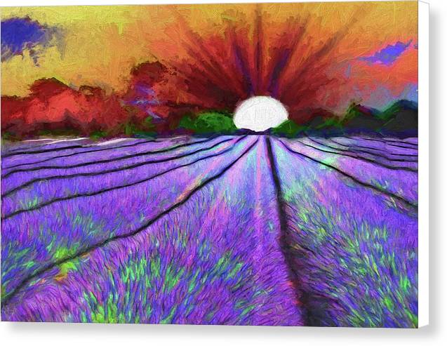 Lavender Field Sunrise - Canvas Print