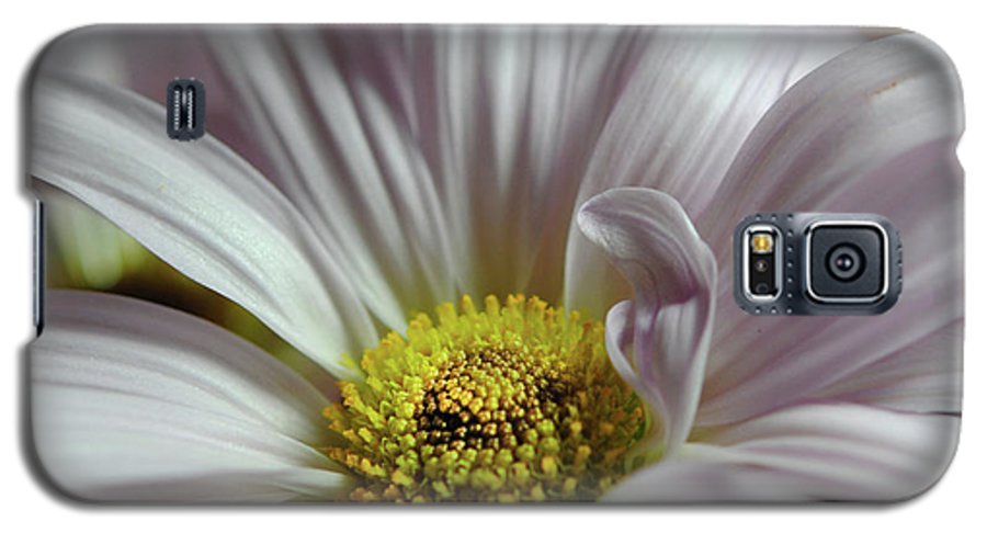 Light Lavender Daisies - Phone Case