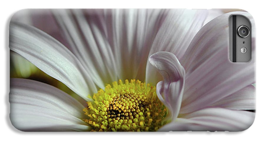 Light Lavender Daisies - Phone Case